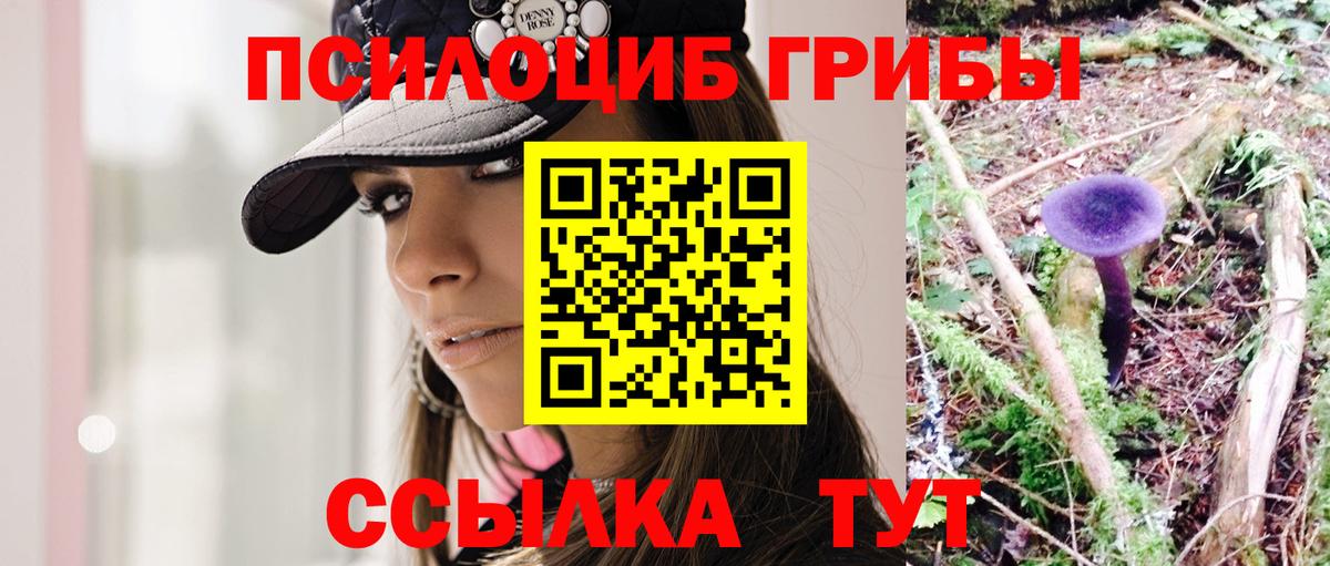 Псилоцибиновые грибы Magic Shrooms  Вход с VPN  Псилоцибиновые грибы Psilocybe  Шали 