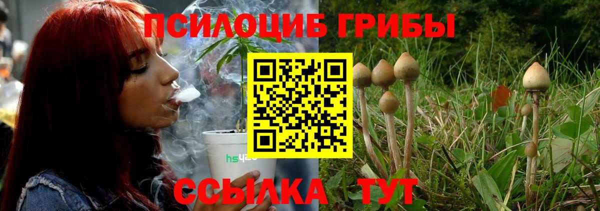 Псилоцибиновые грибы ЛСД Шали