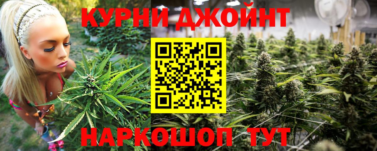 Каннабис ГИДРОПОН Шали